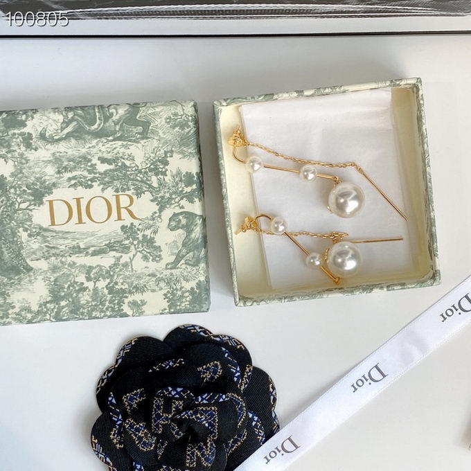 Dior Earrings ID:20240726-55